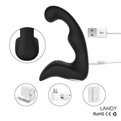 Landy Classic 9 Speeds Vibrating Prostate Massager G Spot Anal Vibrator