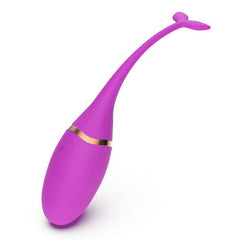 Fish Shape 10 Vibration Remote Egg Vibrators