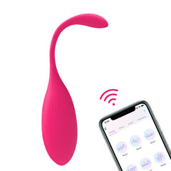 LEVETT APP Controlled Vibrator