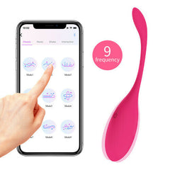 LEVETT APP Controlled Vibrator